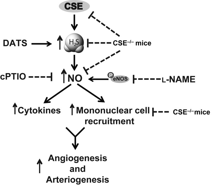 Figure 7