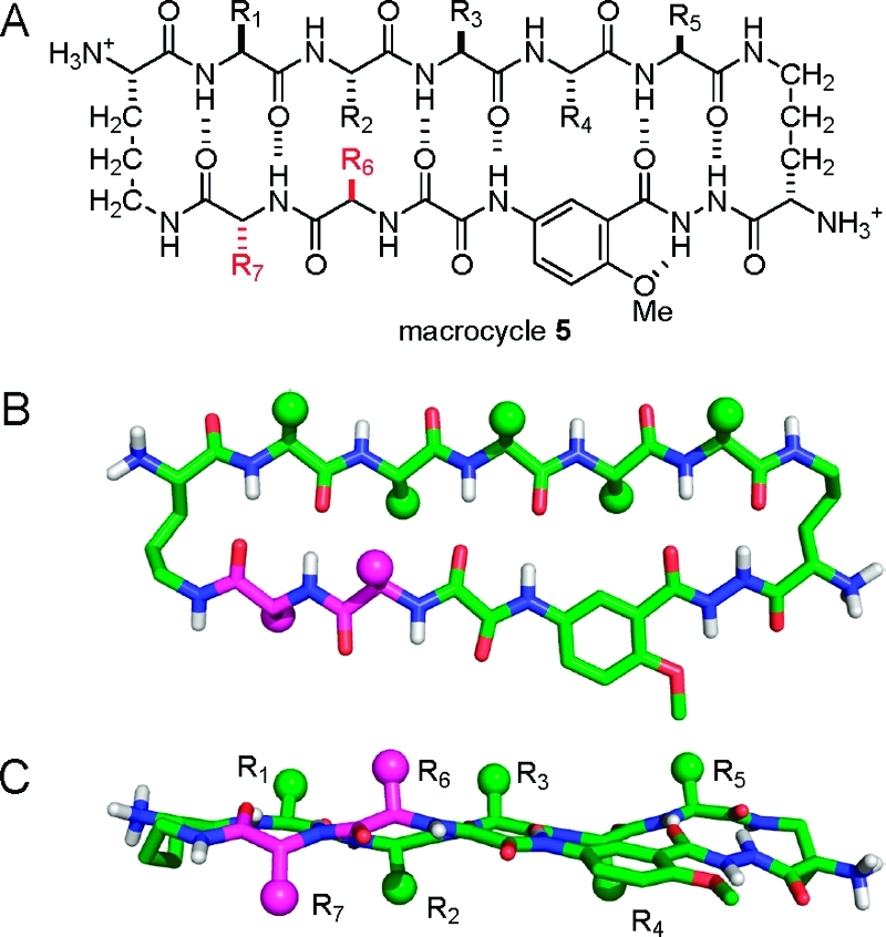 Figure 13