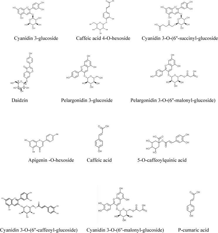 Figure 3