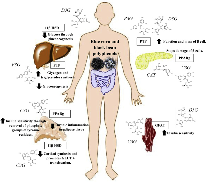 Figure 6