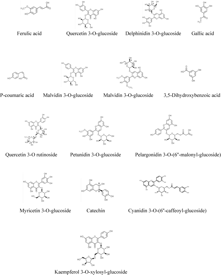 Figure 4