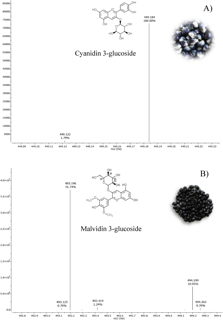 Figure 2