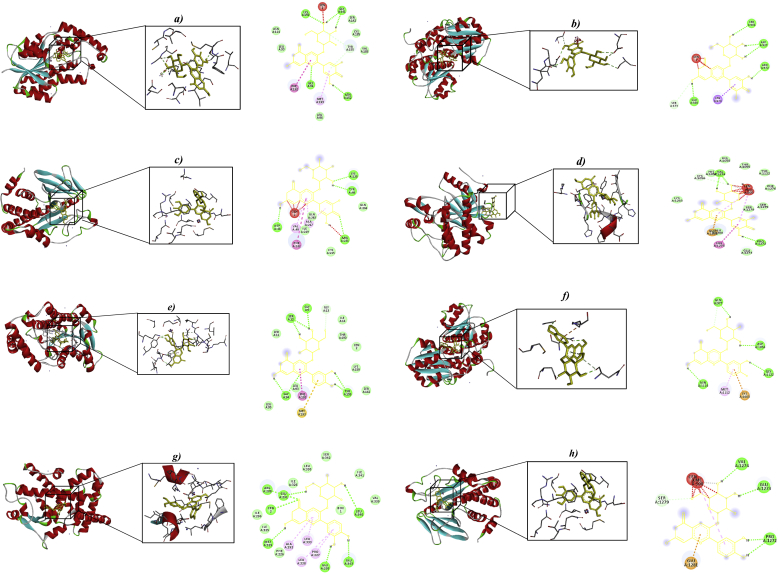 Figure 5