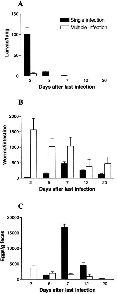 FIG. 1.