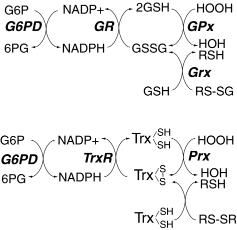 FIG. 3.