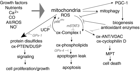 FIG. 11.