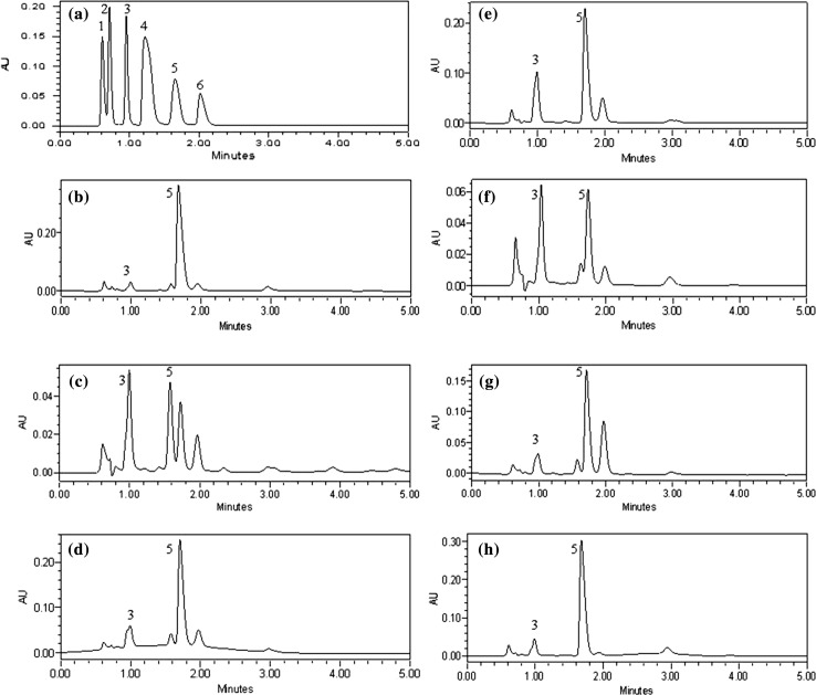 Fig. 2