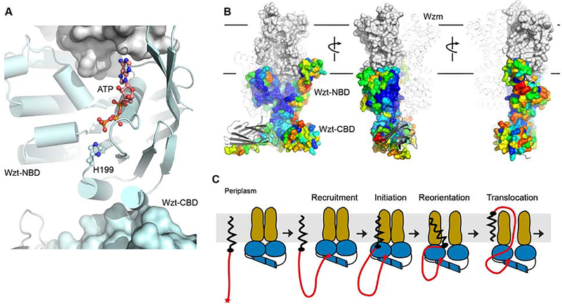 Figure 4.