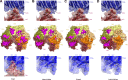 Figure 2—figure supplement 4.