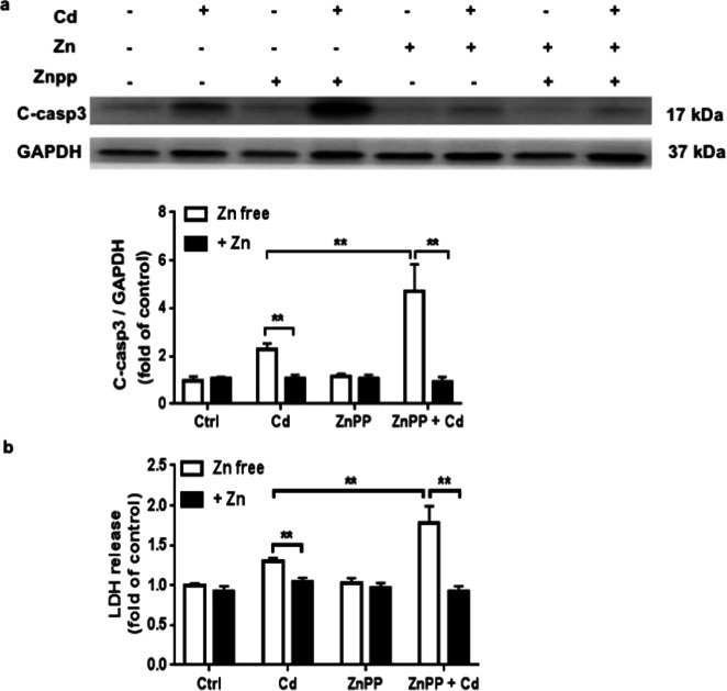 Fig. 8