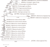 Fig. 7.