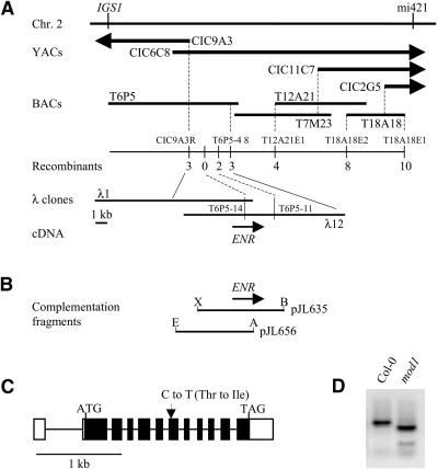 Figure 6.