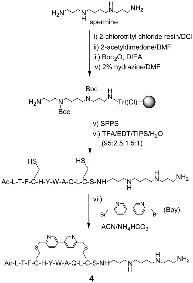 Scheme 1