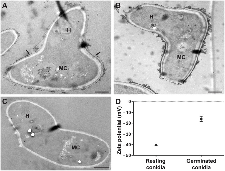 Fig 4