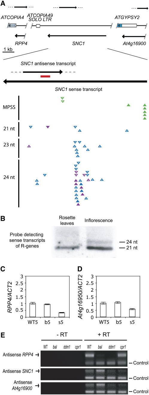 Figure 4.