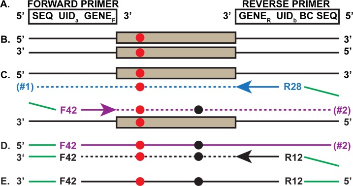 Fig 1