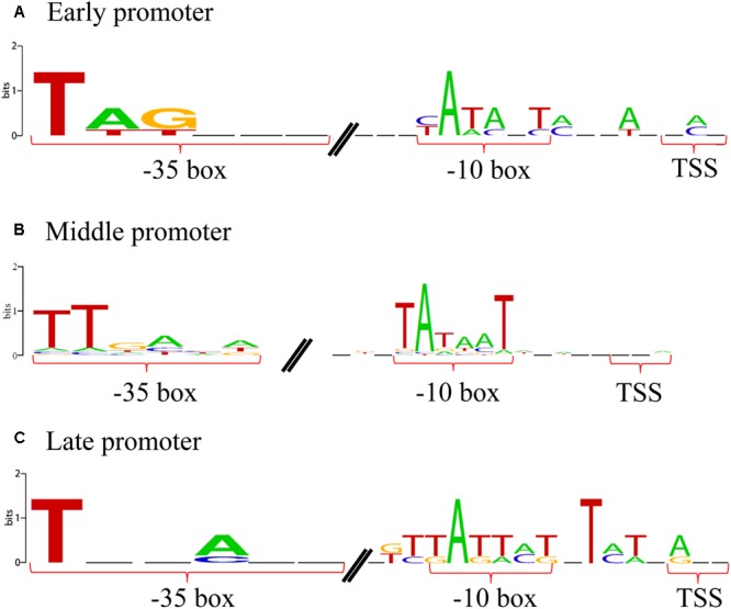 FIGURE 4