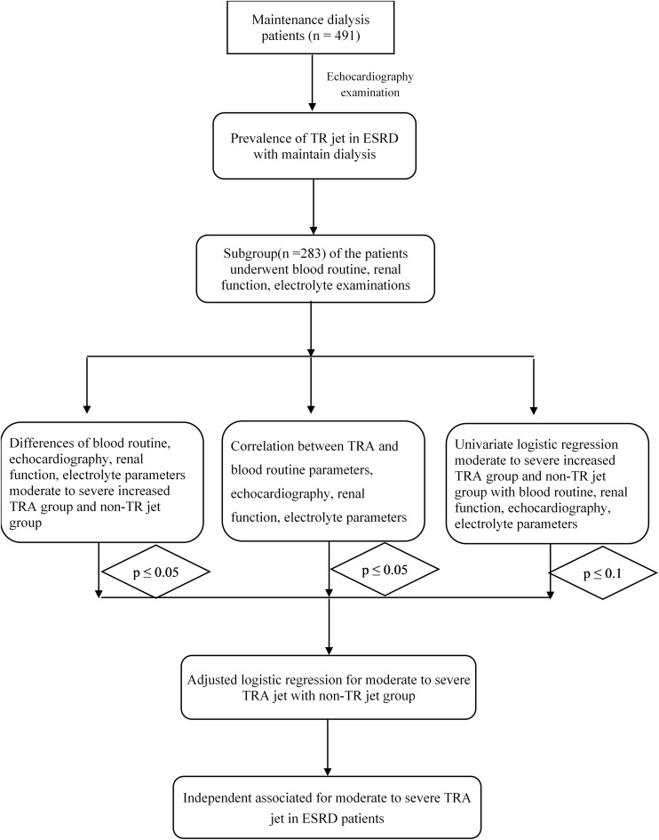 FIGURE 1