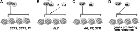 Figure 9.