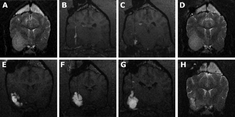 Fig. 3.