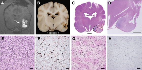 Fig. 5.