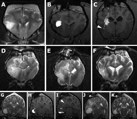 Fig. 6.