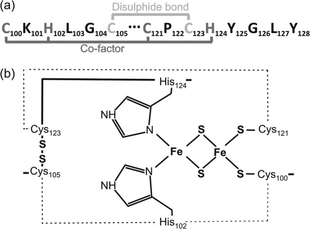 FIGURE 1.