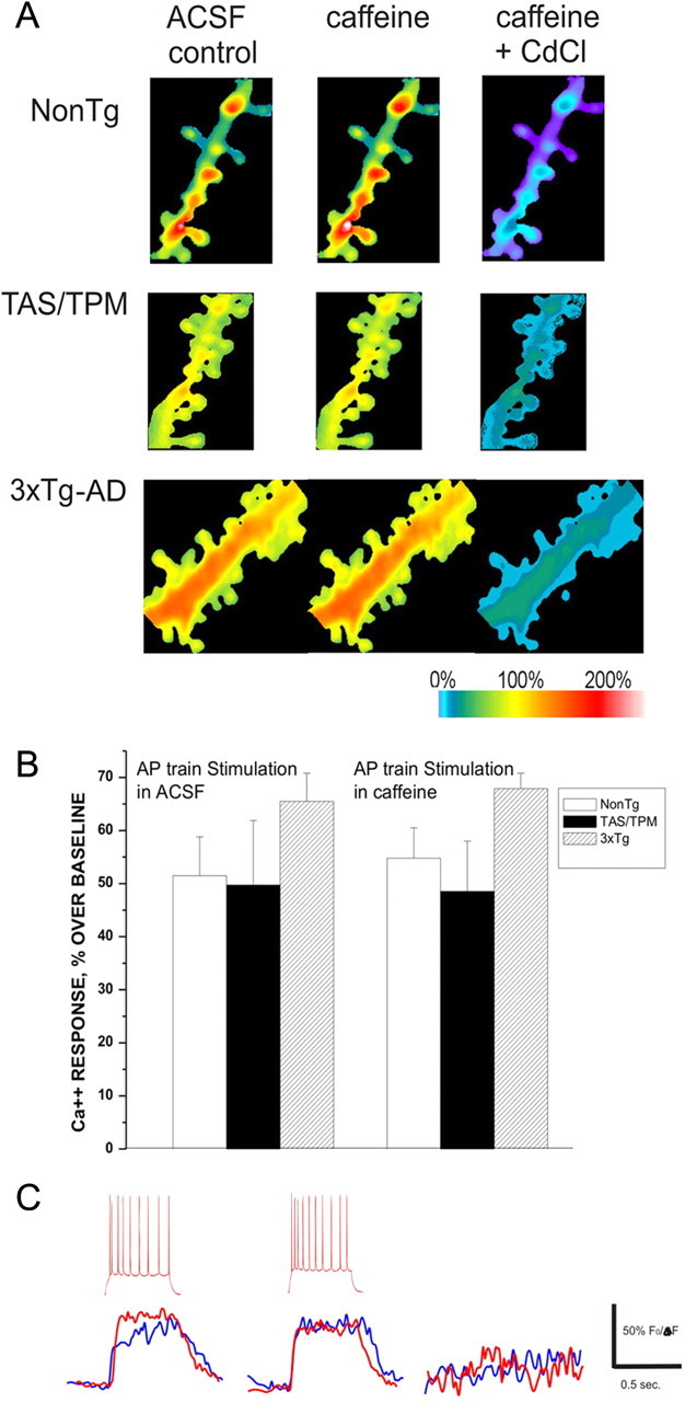 Figure 7.