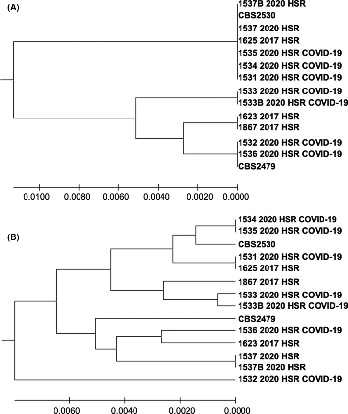 FIGURE 2