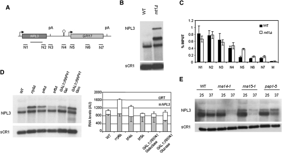 Figure 7