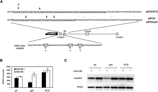 Figure 6