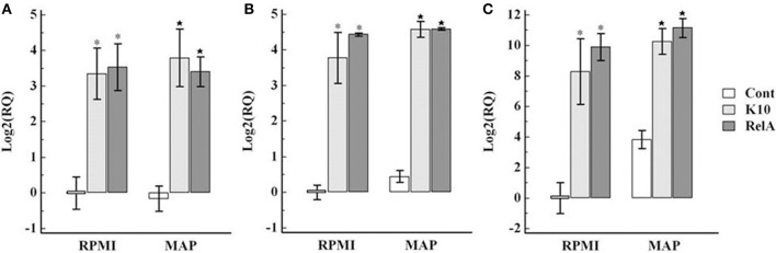 Figure 7