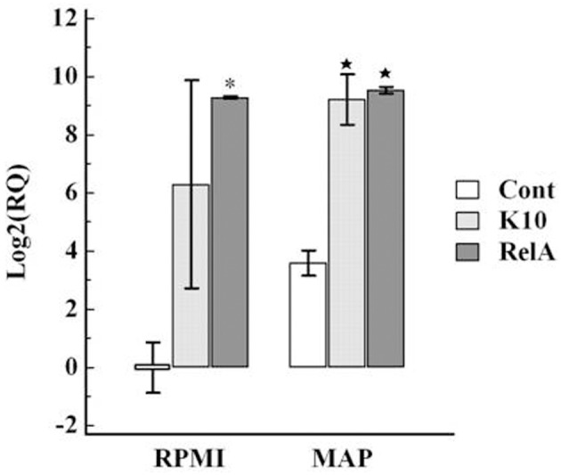 Figure 10