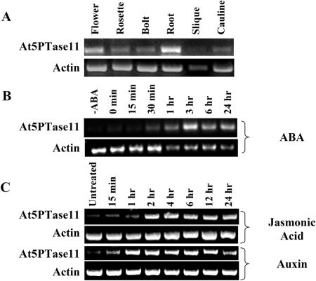 Figure 7.