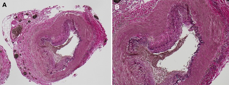 Fig. 8