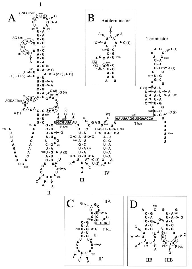 FIG. 3