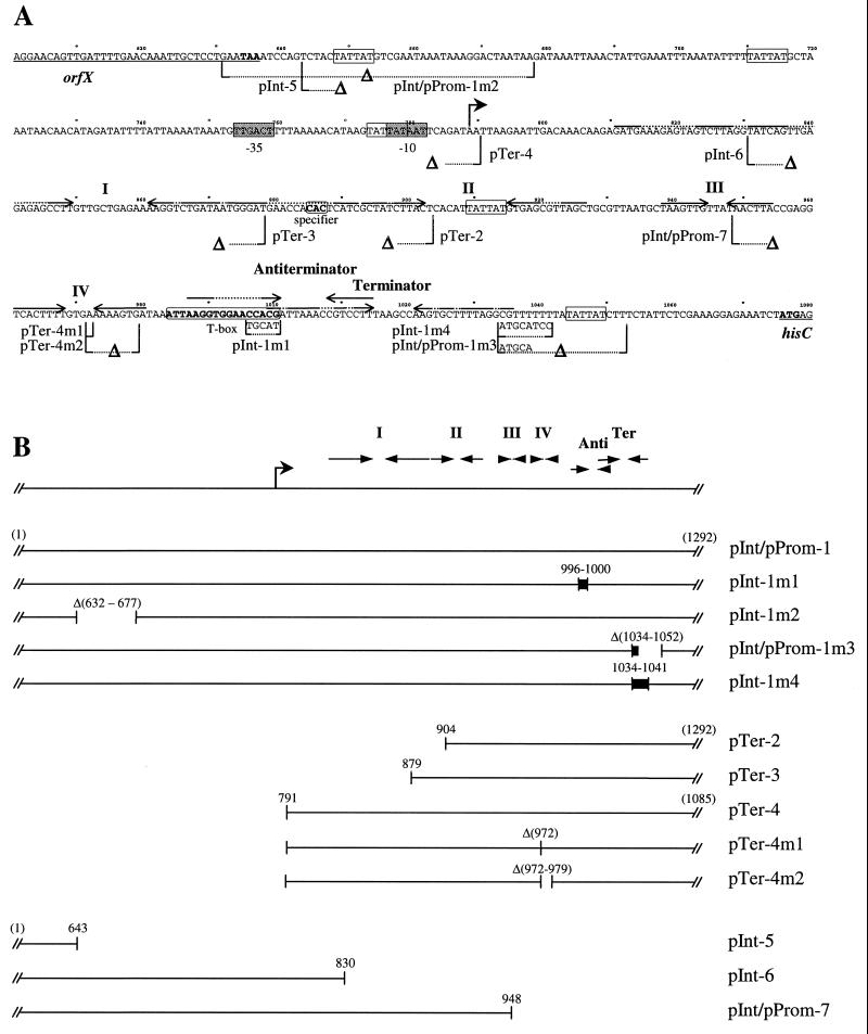 FIG. 1