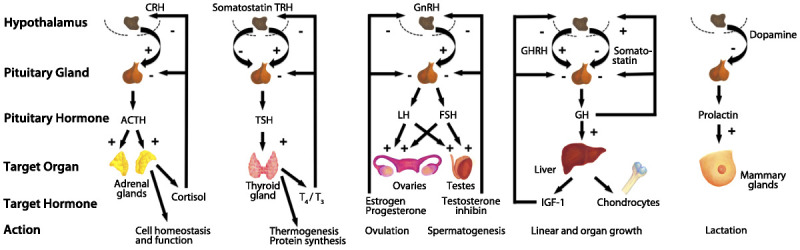 Figure 3-1.