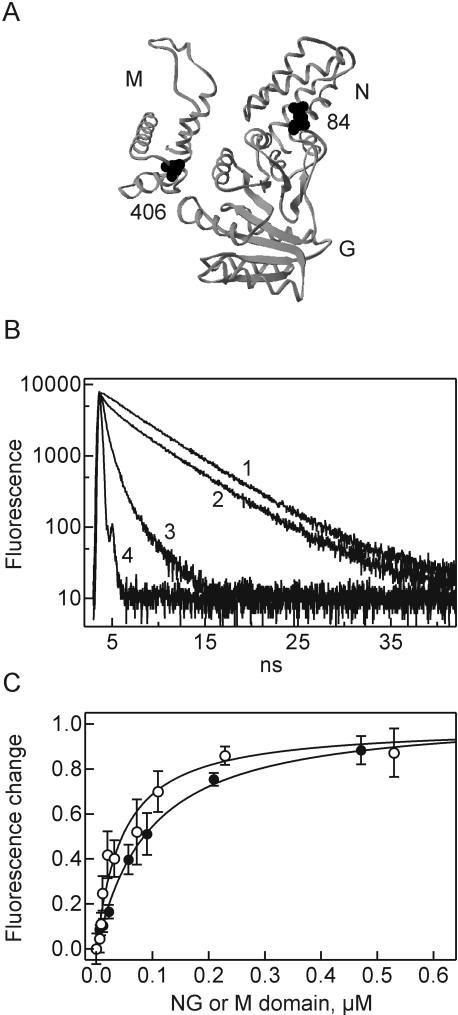 FIGURE 1.