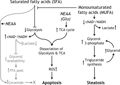 FIGURE 10.