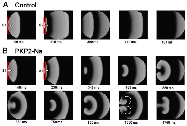 Figure 6