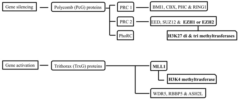 Fig. (3)