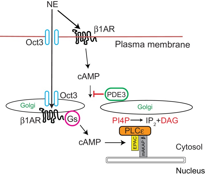 Figure 9.