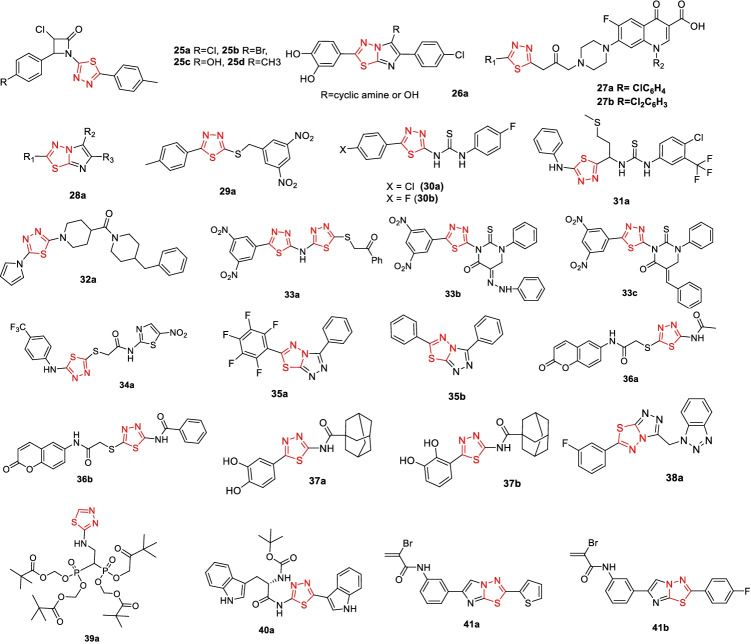 Fig. 10