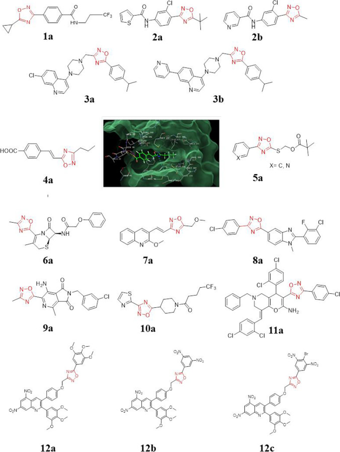 Fig. 5