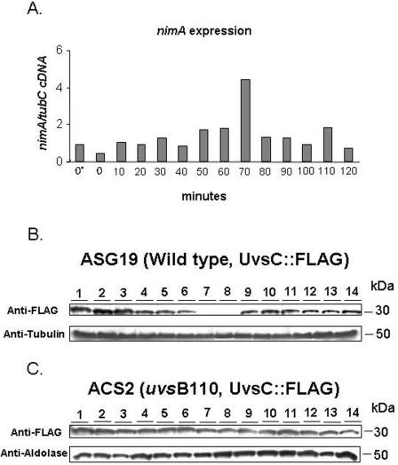 FIG. 5.