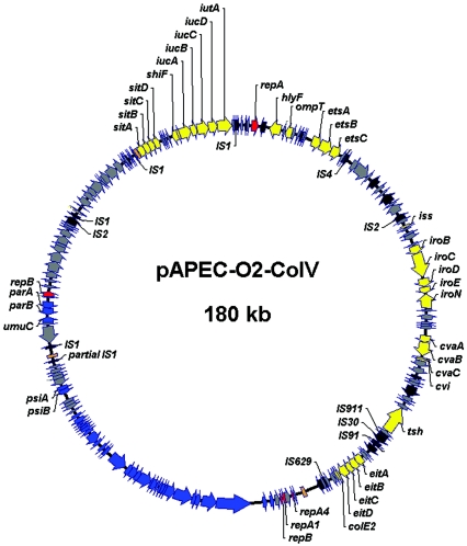 FIG. 3.