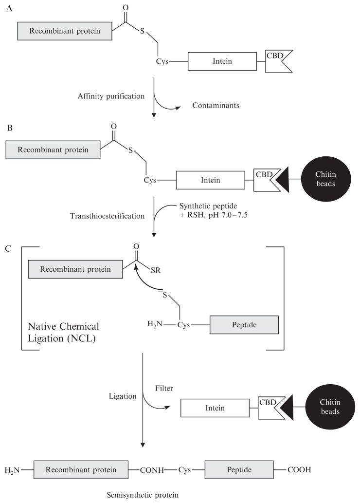 Figure 1.2