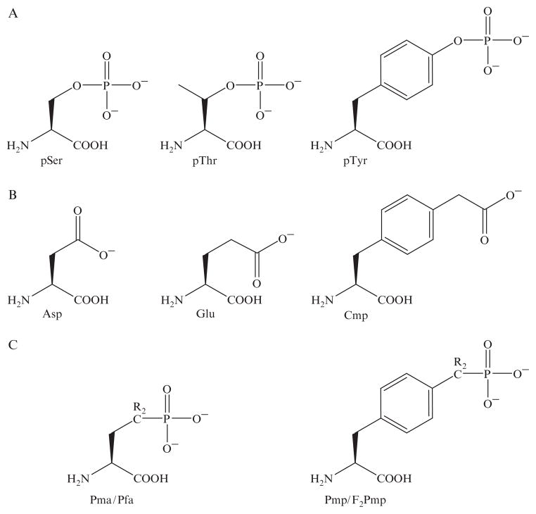 Figure 1.1