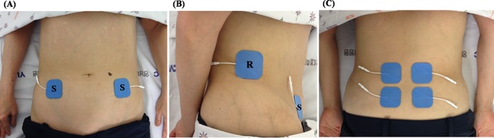 Fig. 1.